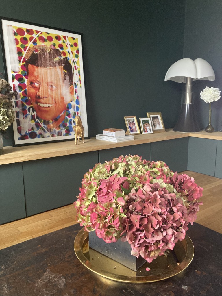 Fleur en salon à Blois, président Kennedy en tableau sur un ton cartoon en Loir et Cher, rangement pour salon à Mesland, lampe avec style original, Mur couleur sombre entre bleu et vert,  