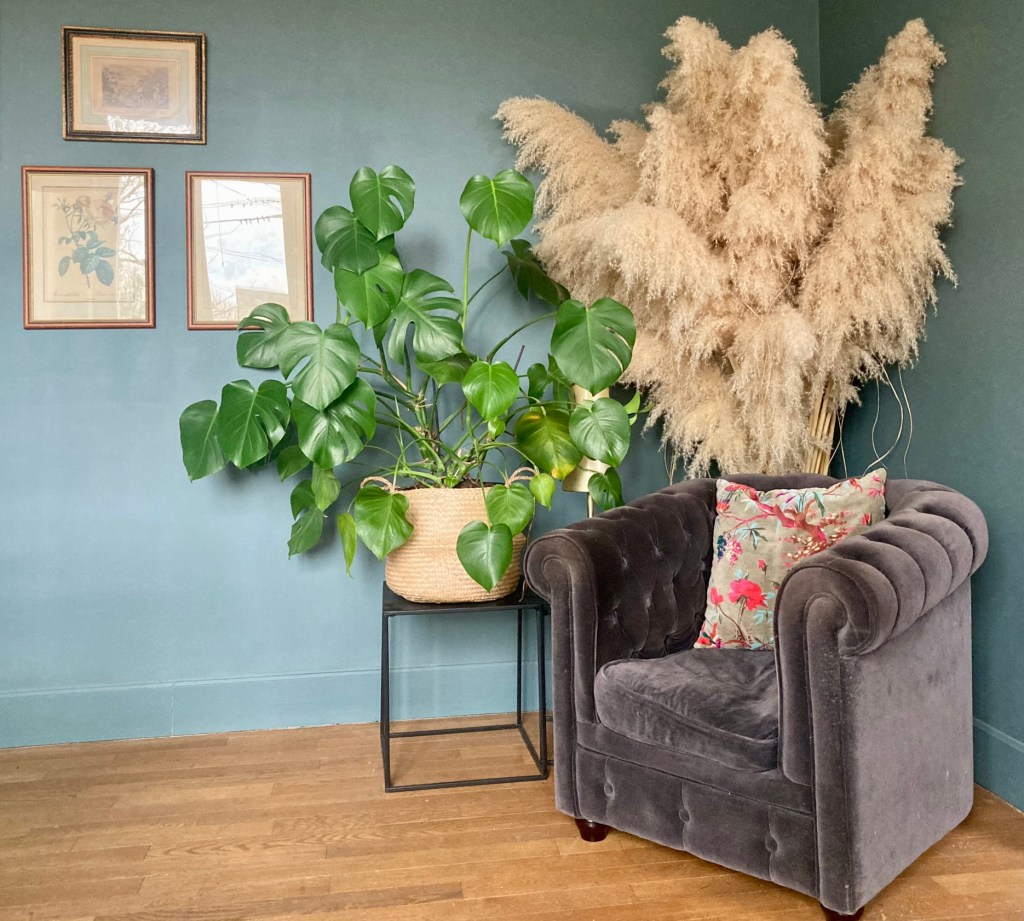 Décoration d'intérieur à Blois, couleurs chaudes, style bohème en Loir et Cher, plante exotique et tableau vintage à Mesland, fauteuil en velours sombre avec coussin style ancien et broder, 